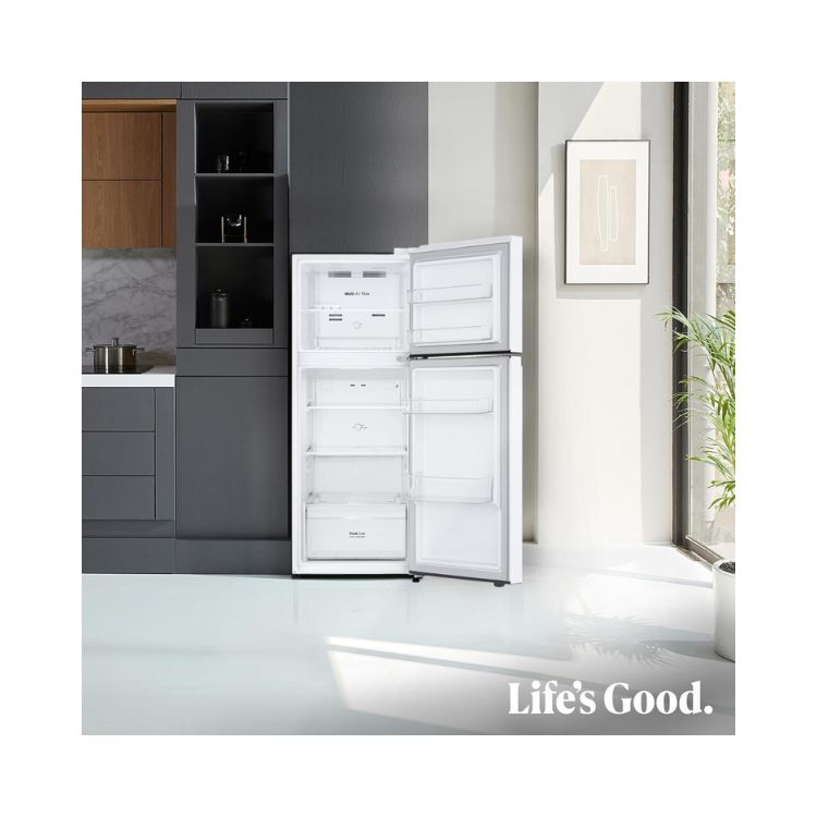 Frigorífico 2 Portas LG GTBV22SWNJ 217L No Frost Classe E Branco