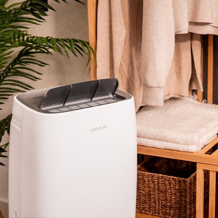 Desumidificador Cecotec BigDry 10000 Expert 6L 30L/24H - Caixa Danificada
