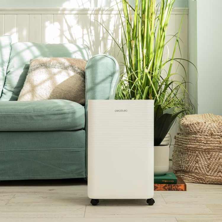 Cecotec BigDry dehumidifier, white, on wooden floor next to green sofa and plant.