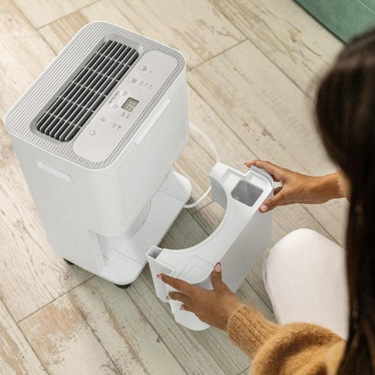 Cecotec BigDry 10000 Expert dehumidifier, white, with digital display and control panel, on wooden floor with woman removing water tank.