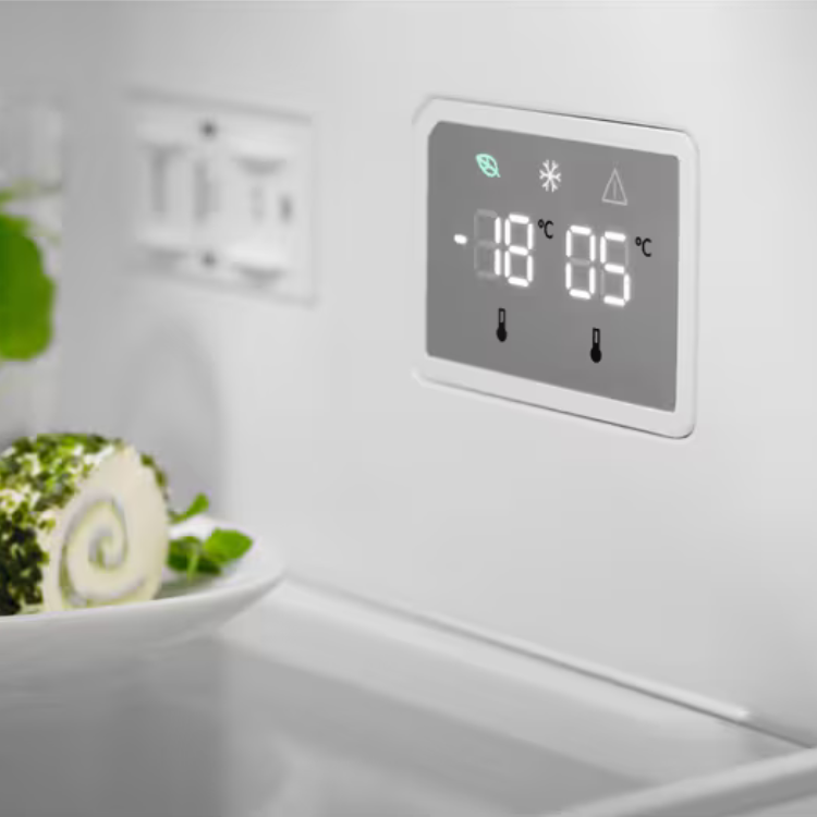 Frigorífico Combinado Electrolux LNT6ME32U2 324L Inox