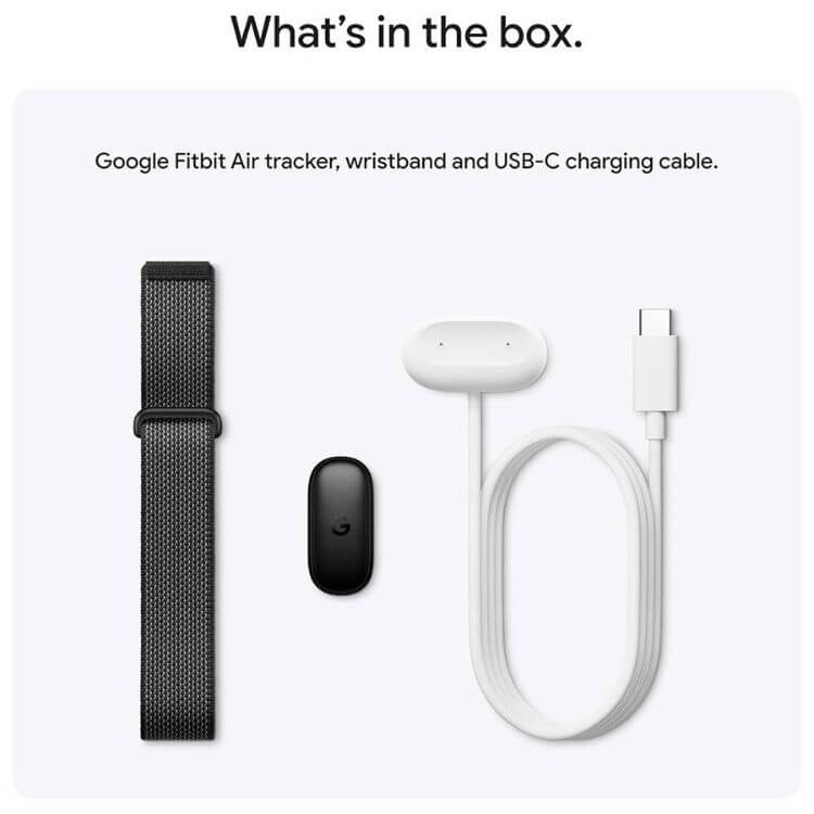 Smartband Google Fitbit Air Preto